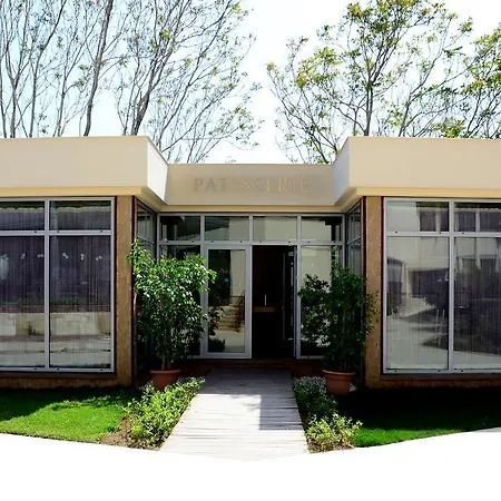 Zeynep Complex 5*